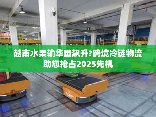 越南水果输华量飙升?跨境冷链物流助您抢占2025先机