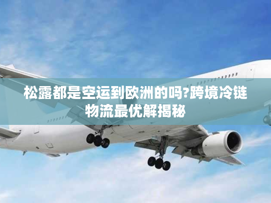 松露都是空运到欧洲的吗?跨境冷链物流最优解揭秘