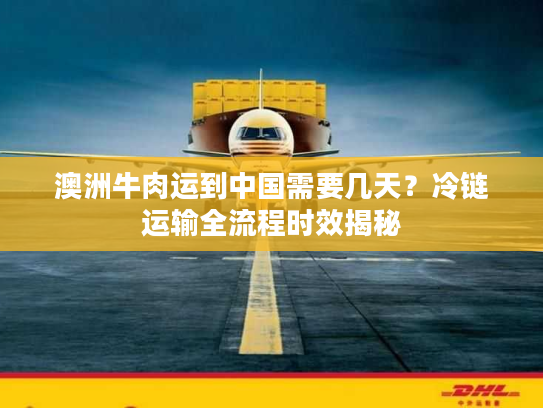 澳洲牛肉运到中国需要几天？冷链运输全流程时效揭秘