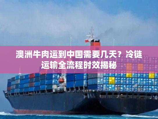 澳洲牛肉运到中国需要几天？冷链运输全流程时效揭秘