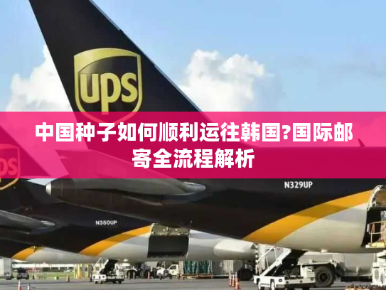 中国种子如何顺利运往韩国?国际邮寄全流程解析