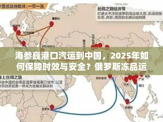 海参巍港口汽运到中国,2025年如何保障时效与安全?俄罗斯冻品运输新方案解析 海参巍港口汽运到中国,2025年如何保障时效与安全?俄罗斯冻品运输新方案解析