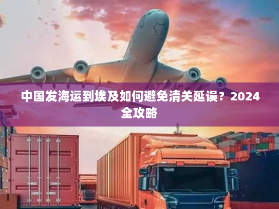 中国发海运到埃及如何避免清关延误？2024全攻略