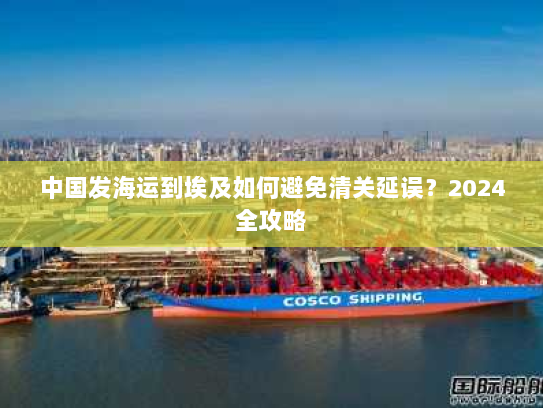 中国发海运到埃及如何避免清关延误？2024全攻略