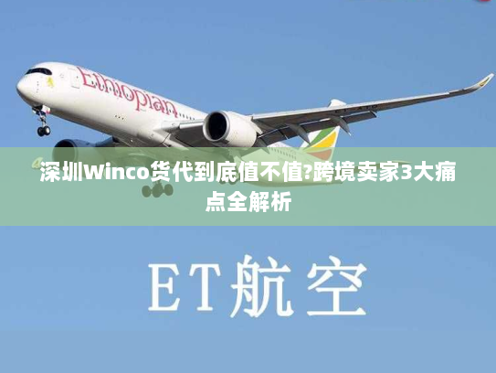 深圳Winco货代到底值不值?跨境卖家3大痛点全解析