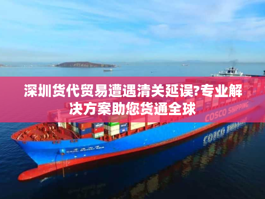 深圳货代贸易遭遇清关延误?专业解决方案助您货通全球