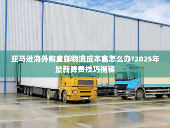 亚马逊海外购直邮物流成本高怎么办?2025年最新降费技巧揭秘