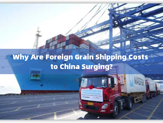 Why Are Foreign Grain Shipping Costs to China Surging?
