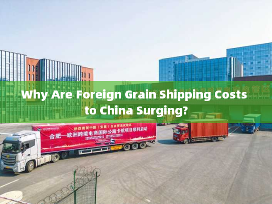 Why Are Foreign Grain Shipping Costs to China Surging?