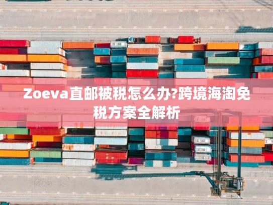 Zoeva直邮被税怎么办?跨境海淘免税方案全解析