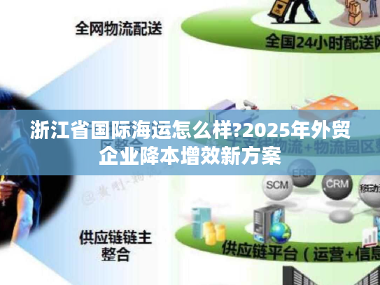 浙江省国际海运怎么样?2025年外贸企业降本增效新方案