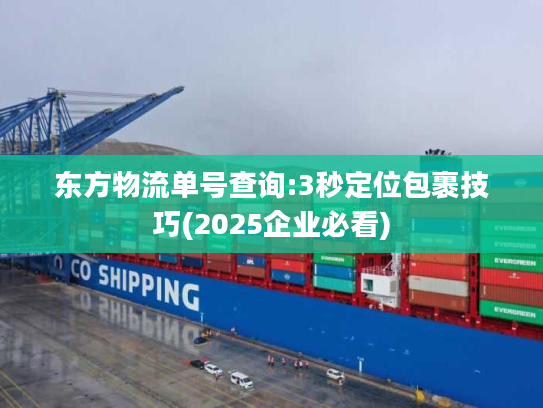 东方物流单号查询:3秒定位包裹技巧(2025企业必看)