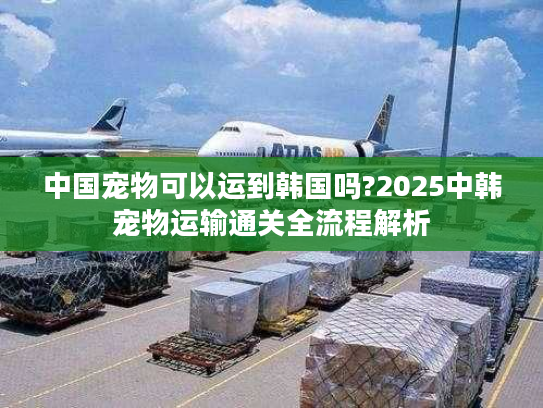 中国宠物可以运到韩国吗?2025中韩宠物运输通关全流程解析