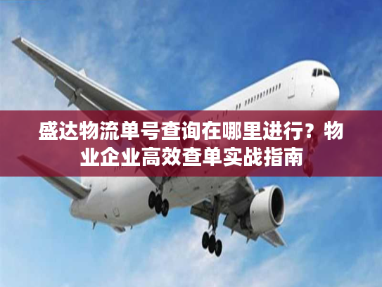 盛达物流单号查询在哪里进行？物业企业高效查单实战指南