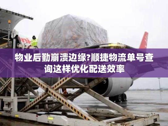 物业后勤崩溃边缘?顺捷物流单号查询这样优化配送效率