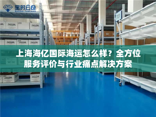上海海亿国际海运怎么样？全方位服务评价与行业痛点解决方案