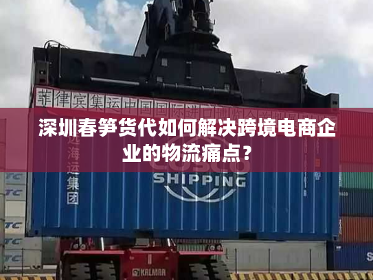 深圳春笋货代如何解决跨境电商企业的物流痛点？