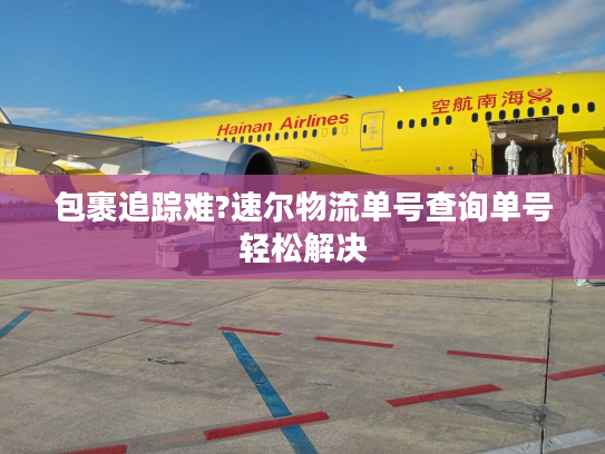 包裹追踪难?速尔物流单号查询单号轻松解决