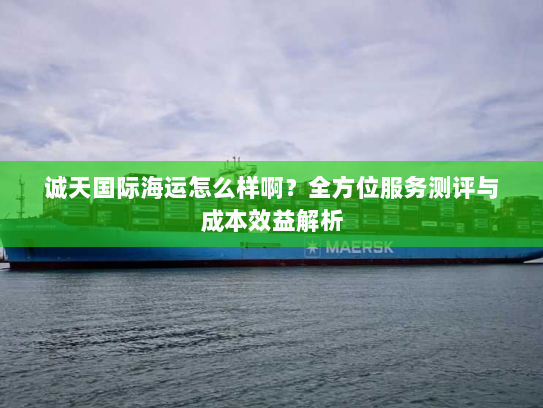 诚天国际海运怎么样啊？全方位服务测评与成本效益解析