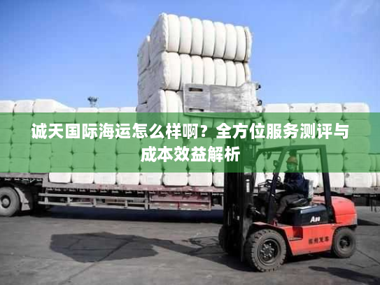 诚天国际海运怎么样啊？全方位服务测评与成本效益解析
