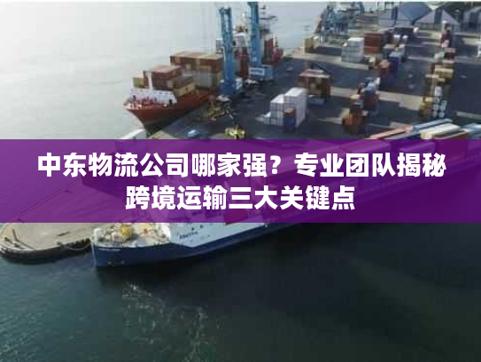 中东物流公司哪家强？专业团队揭秘跨境运输三大关键点