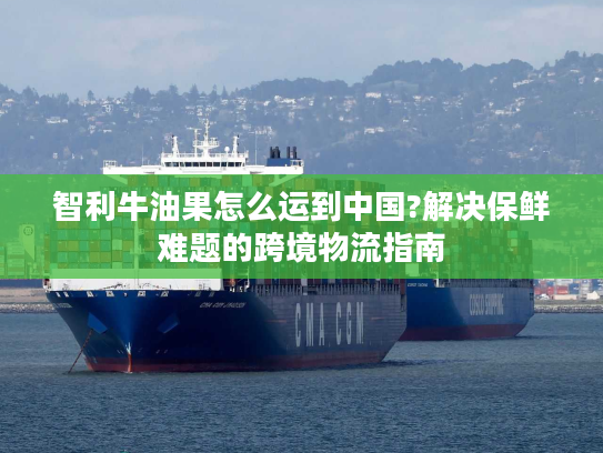 智利牛油果怎么运到中国?解决保鲜难题的跨境物流指南
