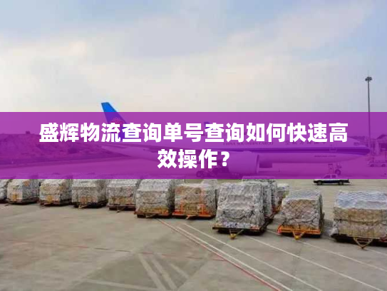 盛辉物流查询单号查询如何快速高效操作？