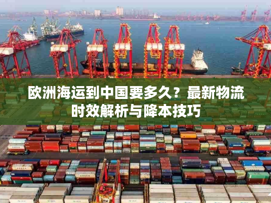 欧洲海运到中国要多久？最新物流时效解析与降本技巧