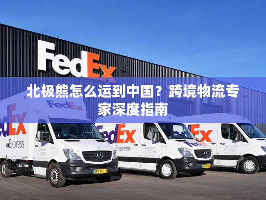 北极熊怎么运到中国？跨境物流专家深度指南