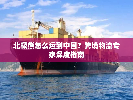 北极熊怎么运到中国？跨境物流专家深度指南