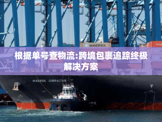 根据单号查物流:跨境包裹追踪终极解决方案
