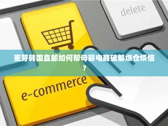 蜜芽韩国直邮如何帮母婴电商破解爆仓烦恼？