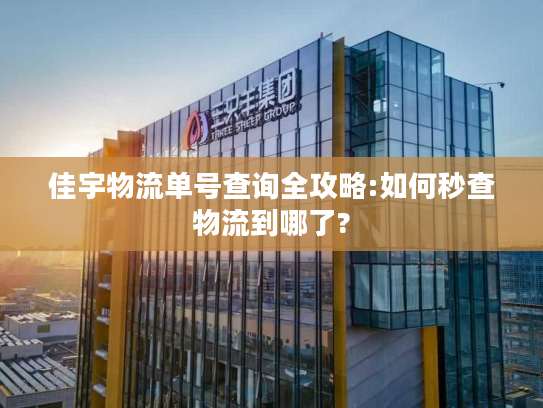 佳宇物流单号查询全攻略:如何秒查物流到哪了?