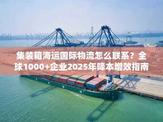 集装箱海运国际物流怎么联系？全球1000+企业2025年降本增效指南