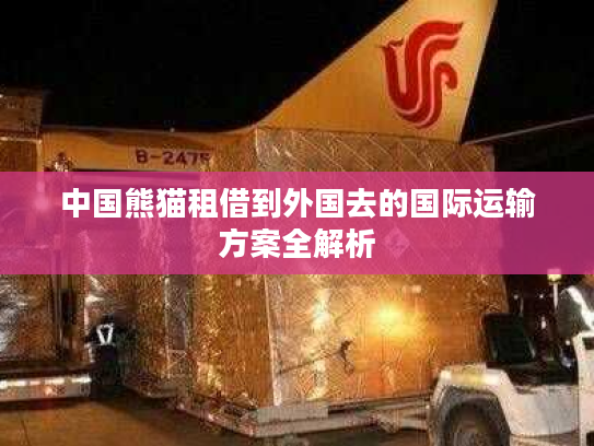 中国熊猫租借到外国去的国际运输方案全解析