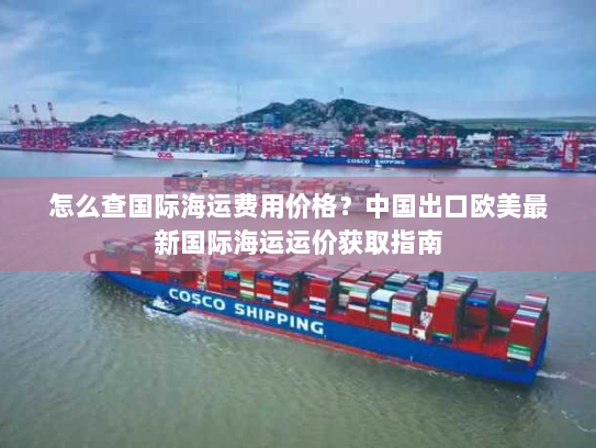 怎么查国际海运费用价格？中国出口欧美最新国际海运运价获取指南