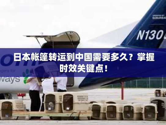 日本帐篷转运到中国需要多久？掌握时效关键点！