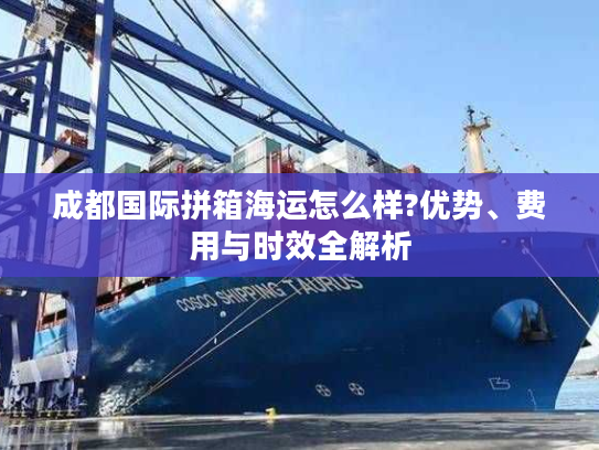 成都国际拼箱海运怎么样?优势、费用与时效全解析