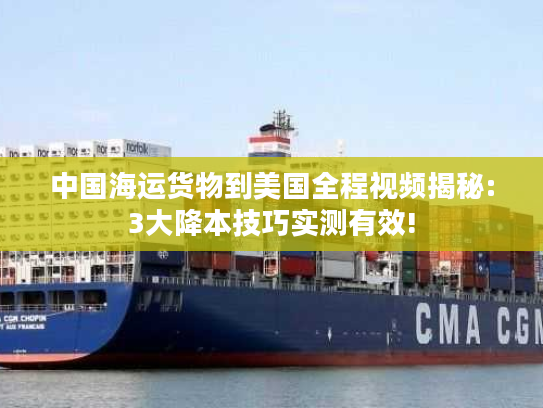 中国海运货物到美国全程视频揭秘:3大降本技巧实测有效!