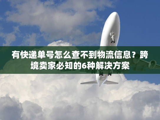 有快递单号怎么查不到物流信息？跨境卖家必知的6种解决方案