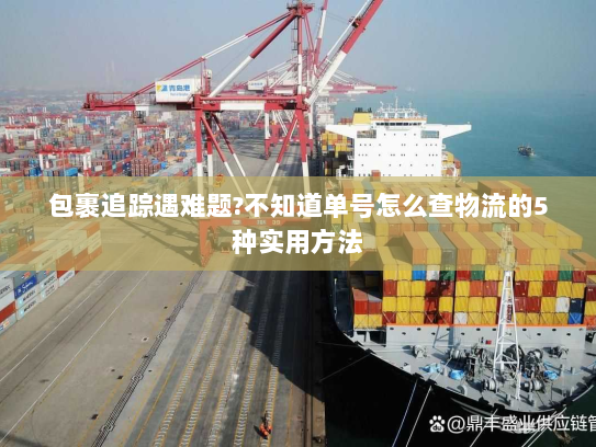 包裹追踪遇难题?不知道单号怎么查物流的5种实用方法