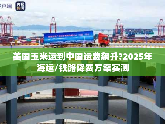 美国玉米运到中国运费飙升?2025年海运/铁路降费方案实测