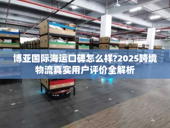 博亚国际海运口碑怎么样?2025跨境物流真实用户评价全解析