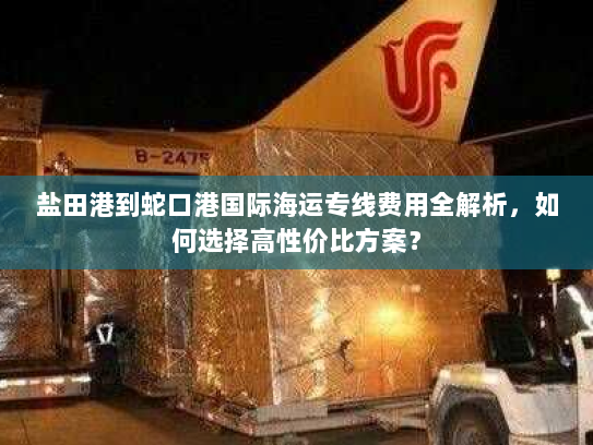 盐田港到蛇口港国际海运专线费用全解析，如何选择高性价比方案？