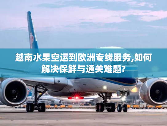 越南水果空运到欧洲专线服务,如何解决保鲜与通关难题?