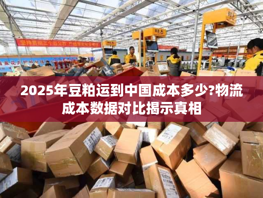 2025年豆粕运到中国成本多少?物流成本数据对比揭示真相