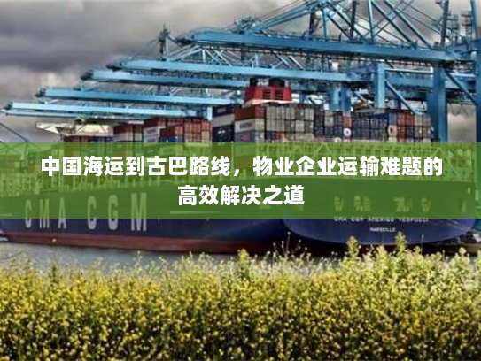 中国海运到古巴路线，物业企业运输难题的高效解决之道