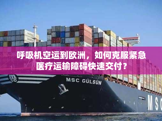 呼吸机空运到欧洲，如何克服紧急医疗运输障碍快速交付？