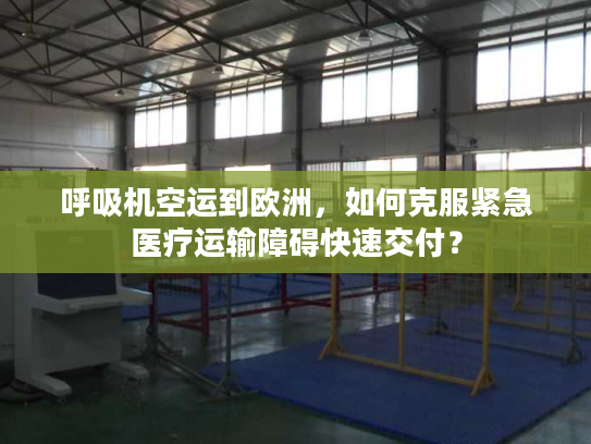呼吸机空运到欧洲，如何克服紧急医疗运输障碍快速交付？