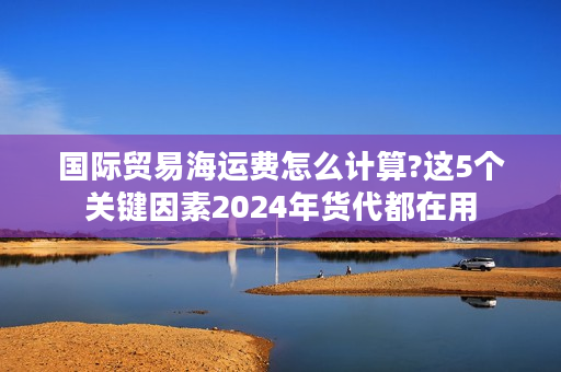 国际贸易海运费怎么计算?这5个关键因素2024年货代都在用
